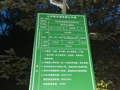 -紫金山山顶公园