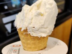 -野人先生现做冰淇淋(北京环宇荟店)