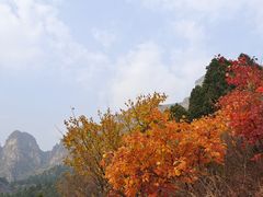 -狼牙山风景区