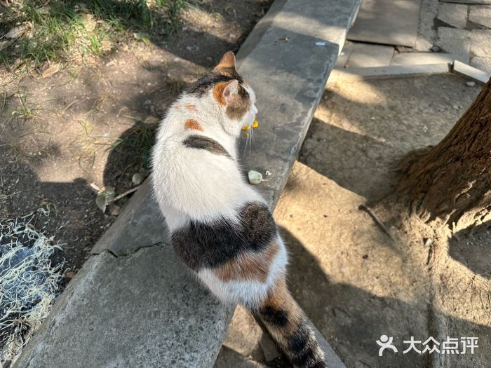 荣阳楼(山塘街店)图片