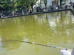 -酷鱼垂钓CLUB(朝阳区博大路店 )