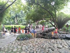 -成都市活水公园