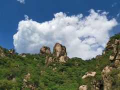 -大岭沟猕猴桃谷风景区