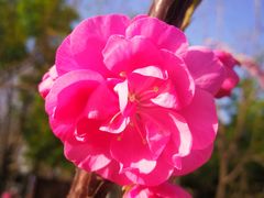 -大兴滨河森林公园