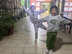 -温鉴良实用咏春拳