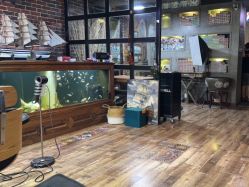 -青木造型HAIR·あおき髪を刈る潮人店