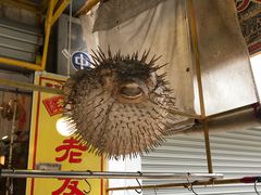 -大澳