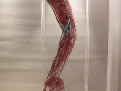 -大连科技馆