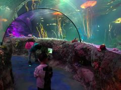 -沈阳海洋探索中心