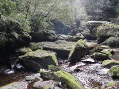 -碧峰峡风景区