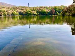 -紫霞湖公园