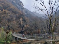 -洛阳花果山景区