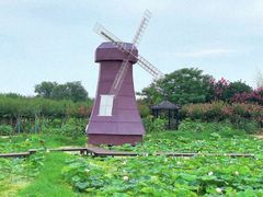 -武汉紫薇都市田园