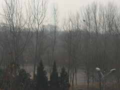 -奥林匹克森林公园北园-停车场