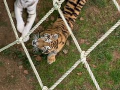-西霞口神雕山野生动物世界