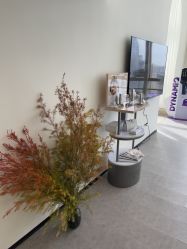 点击看大图 -JNK皮肤管理中心