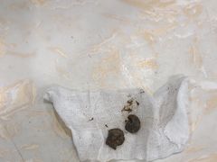 -辛巴宠物医疗中心·骨科·内分泌专科·心肾专科(亭林公园店)