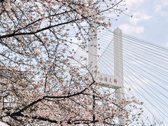 -南浦大桥长途旅游客运站