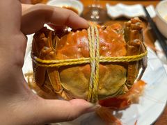 -阳澄湖半岛旅游度假区