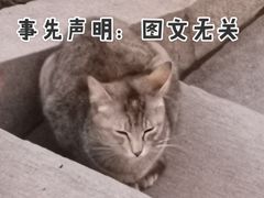 -福田汽车站