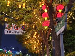 -西苑公园
