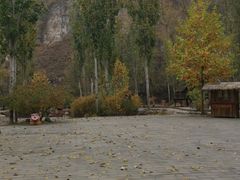 -幽岚山·童话森林