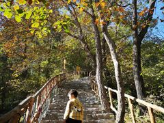 -北京上方山国家森林公园