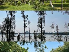 -水濂山森林公园
