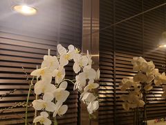 -Dragonfly悠庭·按摩Spa(浦东嘉里城店)
