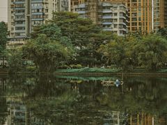 -晓港公园