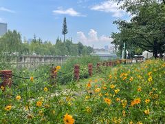 -成都市活水公园