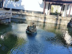 -上海醉白池公园