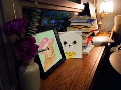 -咖法森林·咖啡  酒吧(天河店)