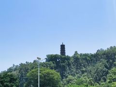 -南沙蒲洲花园