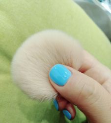 -姜美堂·蒸姜除湿の纤体美颜馆