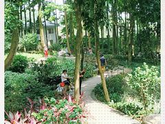 -广州市帽峰山景区