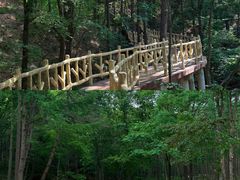 -洛阳白云山景区