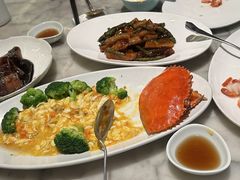 -蝶园·装修中(BFC外滩金融中心店)