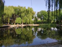 -玲珑塔公园