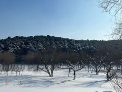 -棋盘山风景区