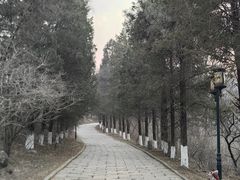 -高尔山公园