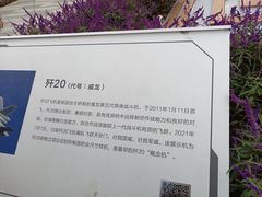 -成飞公园