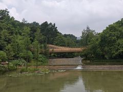 -云溪植物园