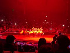 -珠海横琴长隆《卡卡虎奇遇记》