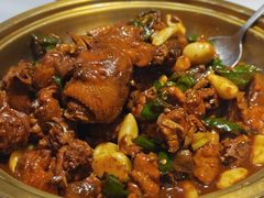 -鲁菜根·泰山菜(泰山店)