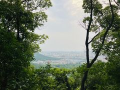 -惠山国家森林公园