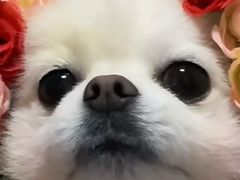 -COSTA COFFEE(上海虹口公园店)