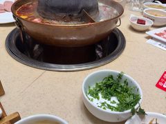 -阳坊大都涮羊肉(阳坊总店)