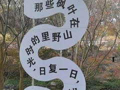 -田野绿世界