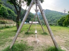 -趣多多宠物公园·宠物训犬学校·宠物寄养
